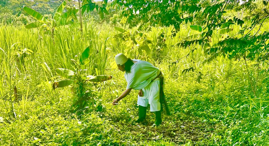 Omgeving Palomino Omgeving Palomino